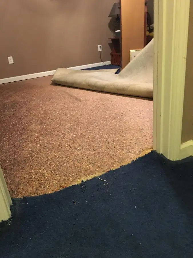 Carpet pad removal revealing water damage during Drying & Dehumidification in Magalia