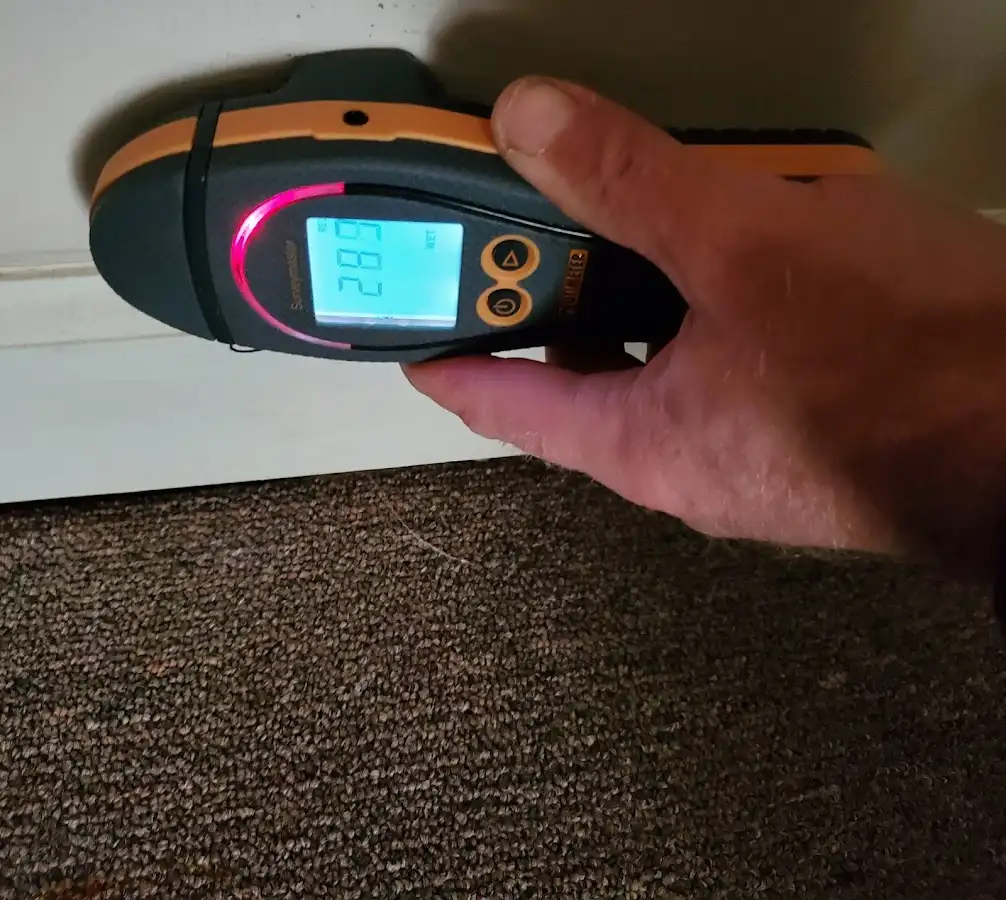 Moisture detection at baseboard during Mold Inspection & Testing in Magalia